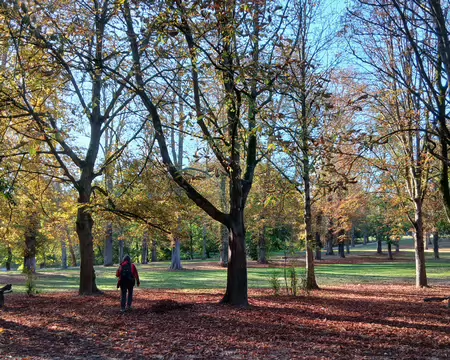 004 L’automne dans le parc de Saint-Cloud