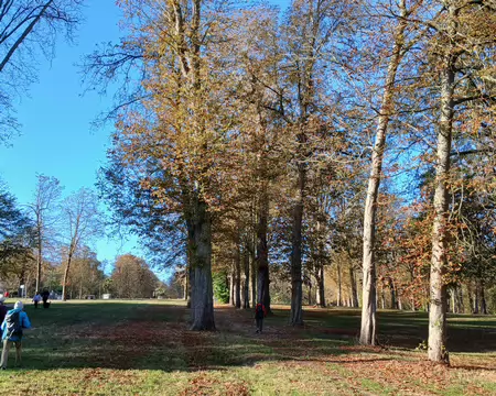 005 La Grande allée de Marnes