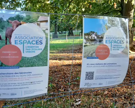 007 L’écopâturage dans le domaine national de Saint-Cloud