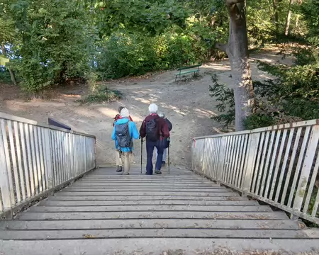 012 Arrivée dans le parc de Villeneuve-l’Etang