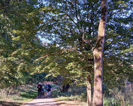 015 Le GR 2 dans le parc de Villeneuve-l’Etang