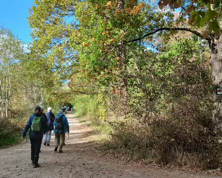 029 Arrivée dans le Parc départemental du haras de Jardy par le chemin aux Bœufs