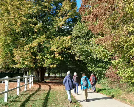 031 Le chemin aux Bœufs entre le haras, les bois, et le golf