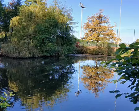 003 L’étang des Nouettes près du stade de Porchefontaine