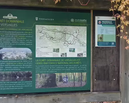 006 La forêt domaniale de Versailles