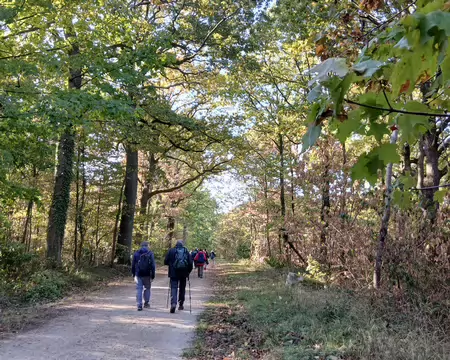 017 Vers le carrefour forestier de la Butte