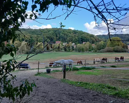 037 Le Pré Saint-Jean vu du chemin aux Bœufs (butte aux Vaches)