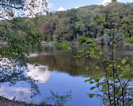 038 L’étang de la Geneste a été créé pour protéger Buc des inondations de la Bièvre