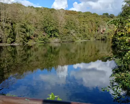 040 Reflets sur l’étang de la Geneste