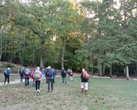 010 Le Parc des Nouettes comprend une partie boisée