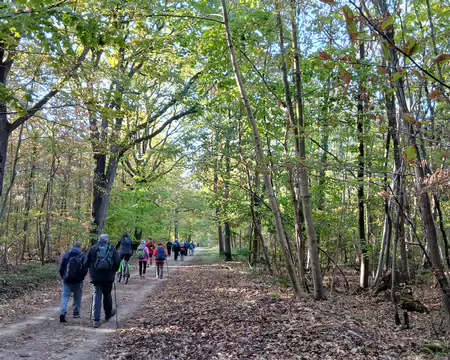 015 Lumière d’automne dans le bois du Pont Colbert