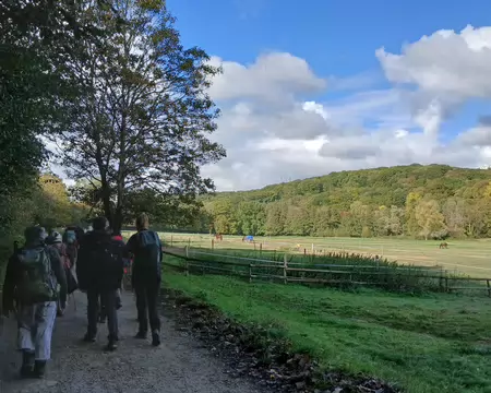 028 Le Pré Saint-Jean vu du chemin du Cimetière (Buc)