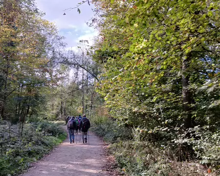 039 La route forestière des Prés de Buc le long de l’étang de la Geneste
