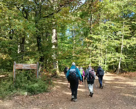 045 Le carrefour forestier de Sébaque (forêt domaniale de Versailles)
