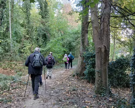 047 Dans le bois du Cerf-Volant