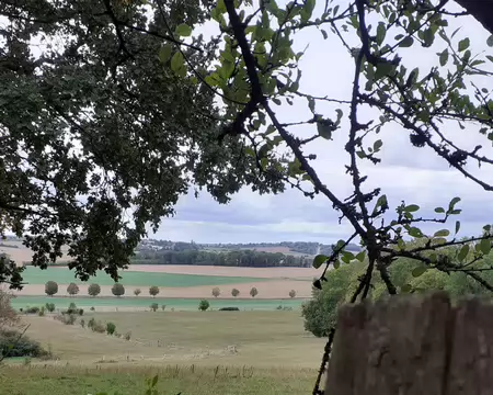 20261011_142337