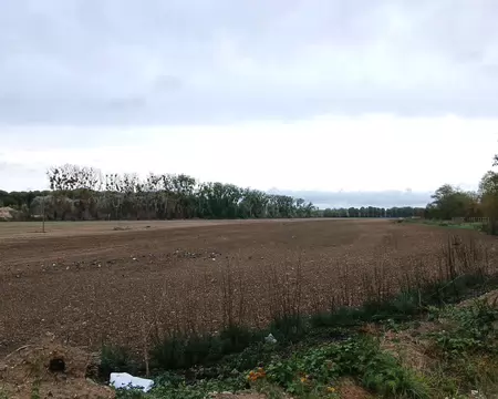 008 Plaine agricole entre Seine et forêt
