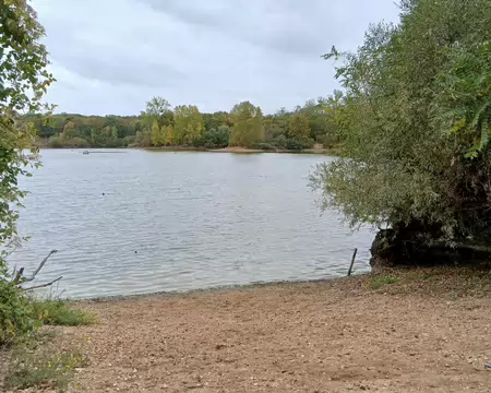 009 L’étang du Corra à l’extrémité nord-ouest de la forêt domaniale de Saint-Germain