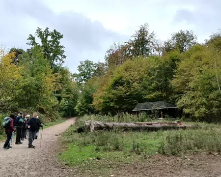 018 Le seul abri de la forêt de Saint-Germain, l’abri Poulain (dit Titi), à l’étoile du Tronchet