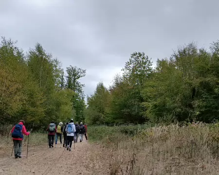 021 Sur la route forestière de la Biche