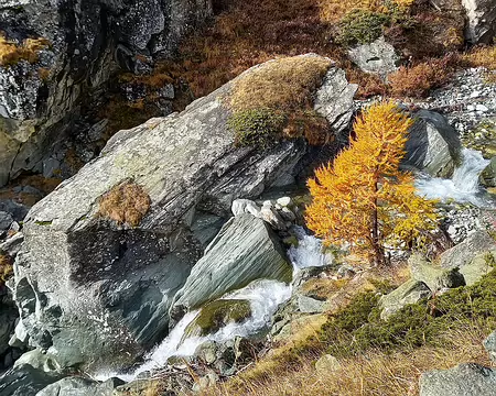 20251021_104408-01 Le Triftbach