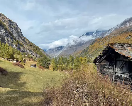 20251021_155423-01 Herbigweg