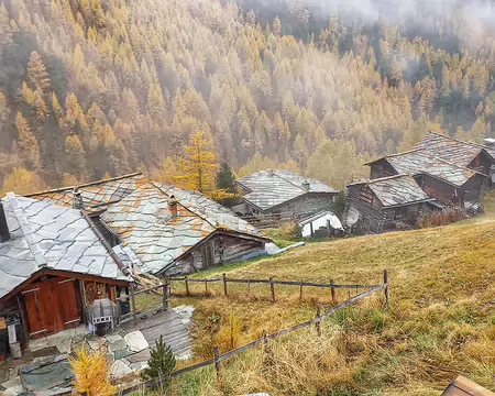 20251023_162112-01 Findeln