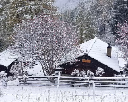 20251024_102219-01 Aroflüe