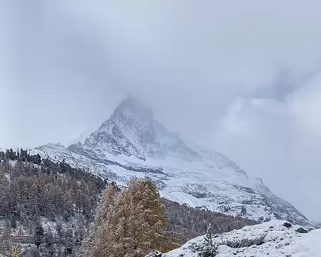 20251024_115533-01 Côté face