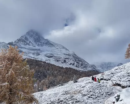 20251024_121948-01 Il ne se découvrira pas.