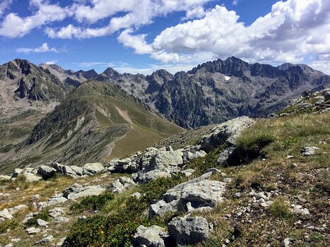 2017-07 Mercantour détail de la sortie