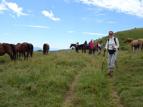 2017-07 Vercors Claude L, détail sortie