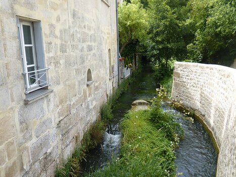 2017-07 Viosne Dominique F, détail sortie