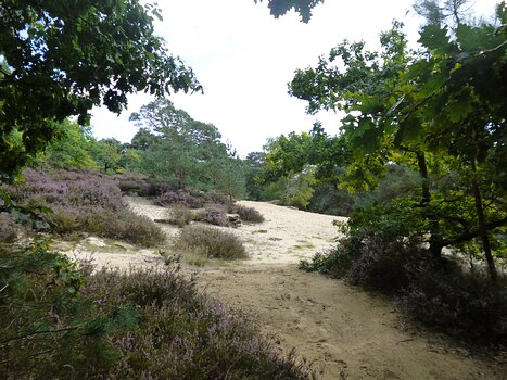 2017-09 Dourdan AC Dominique F, détail sortie