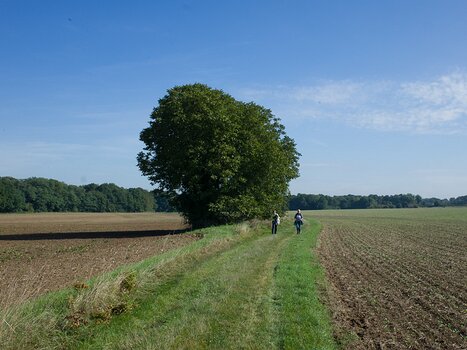2017-09 Provinois Alain Z, détail sortie