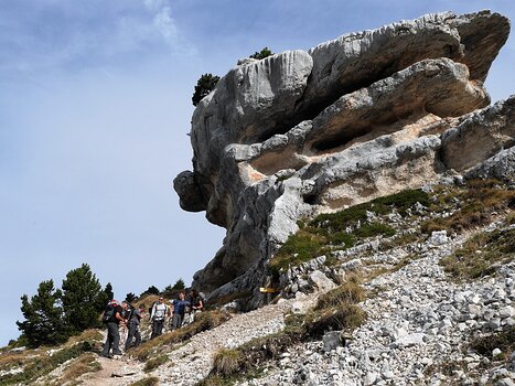 2017-10 Chartreuse Pascale L, détail sortie