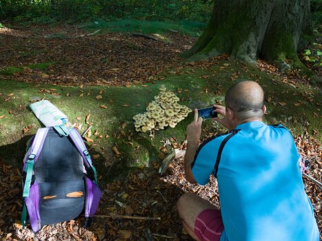 2017-10 Fausses-Reposes Alain Z, détail sortie