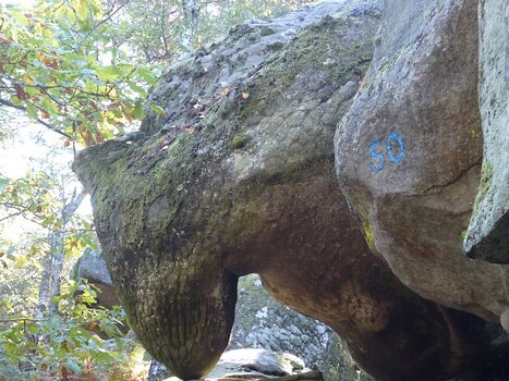 2017-10 RDV Automne camping Dominique F, détail sortie