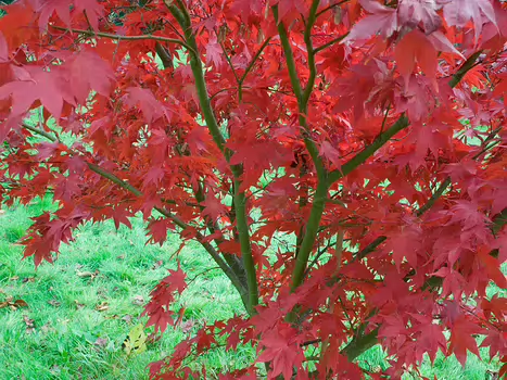 2017-11 Chèvreloup détail de la sortie