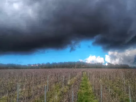 2017-11 Champagne détail de la sortie