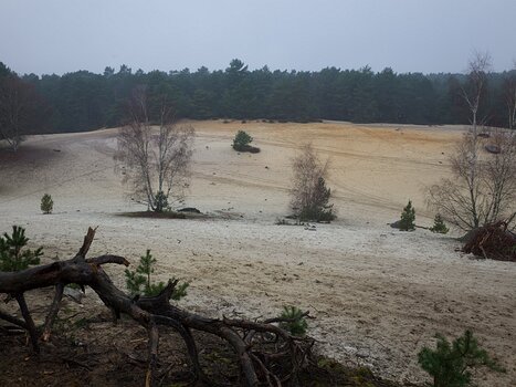 2017-12 Nemours Alain Z, détail sortie