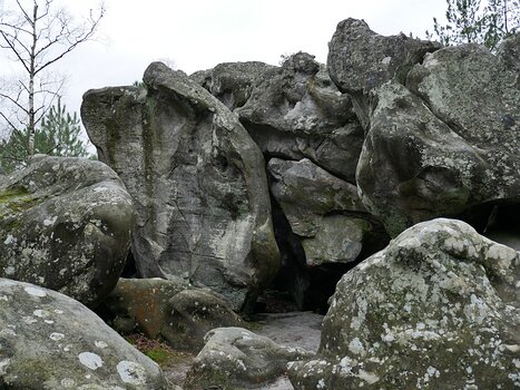 2018-01 Bourron-Marlotte Solène R, détail sortie