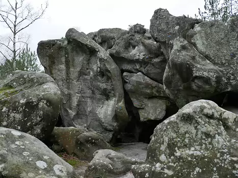 2018-01 Bourron-Marlotte Solène R, détail sortie