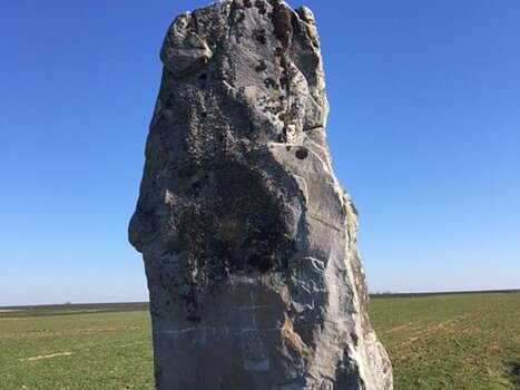 2018-02 Boigneville Isabelle T, détail sortie