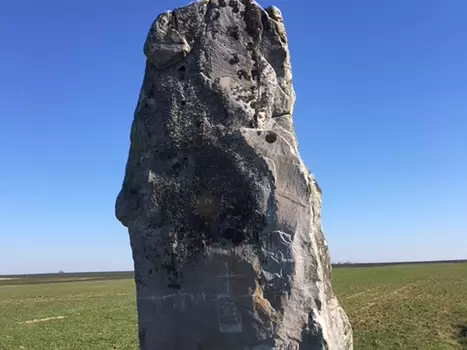 2018-02 Boigneville Isabelle T, détail sortie