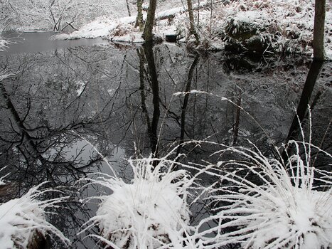 2018-02 Bourron-Marlotte Alain Z, détail sortie