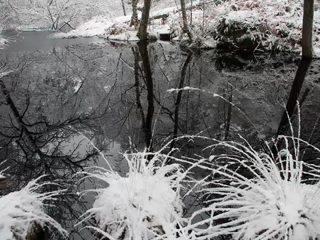 2018-02 Bourron-Marlotte Alain Z, détail sortie