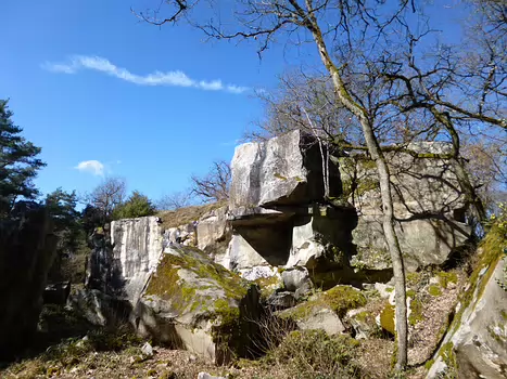 2018-03 Etrechy Dominique F, détail sortie