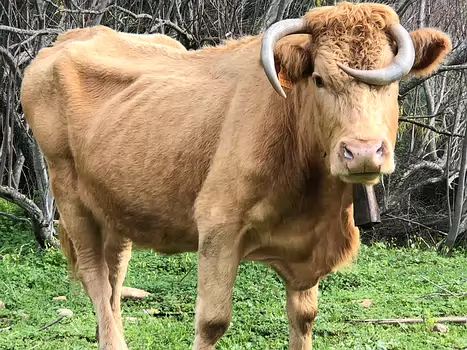 2018-03 Portugal Isabelle T, détail sortie