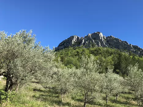 2018-04 Baronnies provençales
